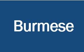 Burmese Title VI ADA Complaint